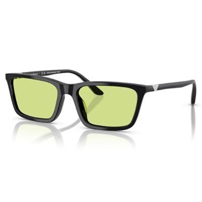 Emporio Armani EA4239U Sunglasses